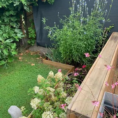 Ferienhaus Maison Moderne Proche Golf Et Du Touquet