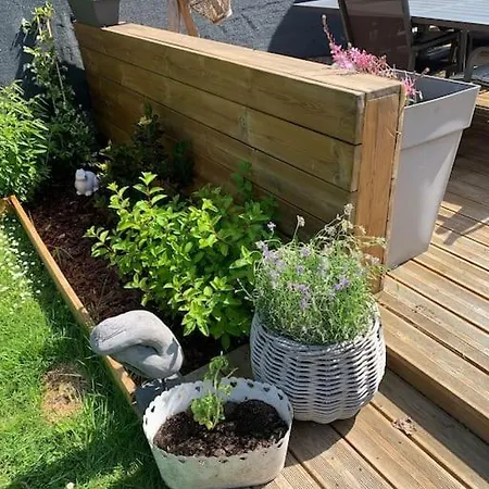 Ferienhaus Maison Moderne Proche Golf Et Du Touquet