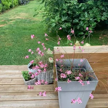 Maison Moderne Proche Golf Et Du Touquet Ferienhaus Cucq